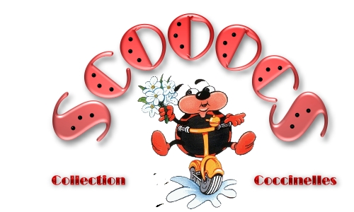 ScooocS Collection Coccinelles