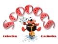 Collection de Coccinelles
