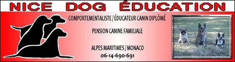 Nice Dog Education - Educateur Canin Comportementaliste 06 et 83