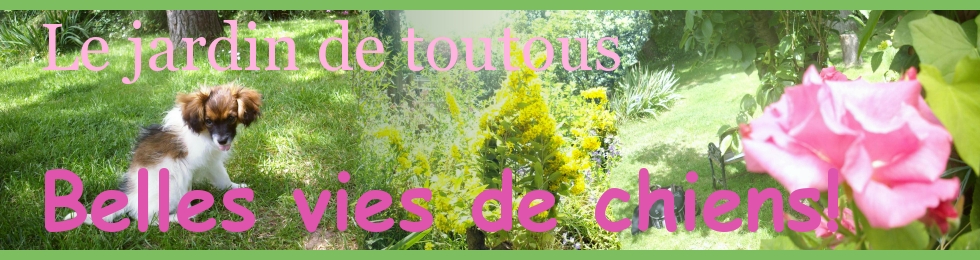 Le jardin de toutous