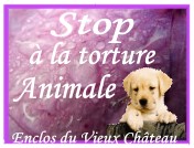 Protection Animale