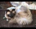 YouTube - Doudou.wmv YouTube - Doudou.wmv