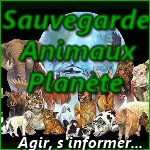 Sauvegarde-Animaux-Planète
