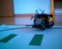 The Bug