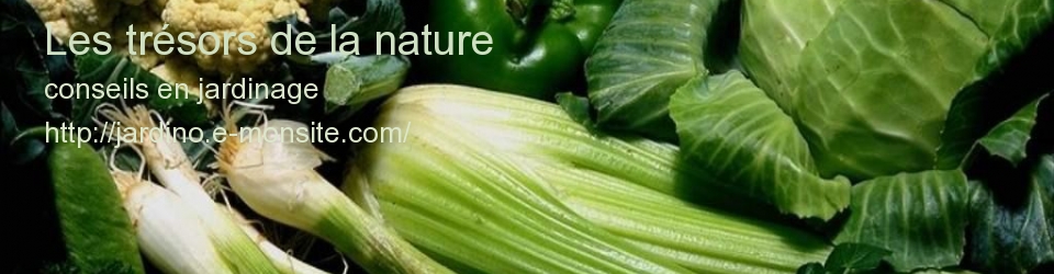Les trésors de la nature