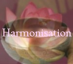 Harmonie