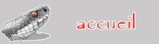 Accueil