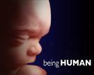 being human