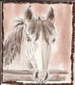 Dessinsouvenirs