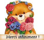 http://www.e-monsite.com/s/2009/03/11/chezbabou/77554338merci-gif.gif