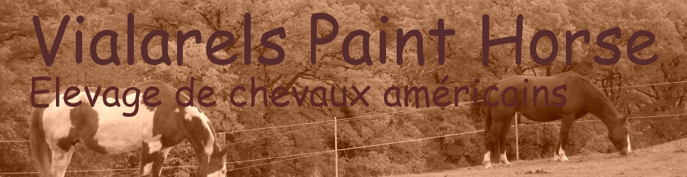 VIALARELS PAINT HORSE
