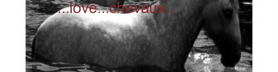 ...les...chevaux...