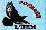 L'IFEM