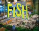          FISH! Culture (trailer)       - YouTube
