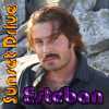 ALBUM "Sunset Drive" DIGITAL 16 TITRES