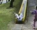 la chute