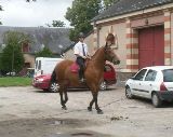 Rubriques