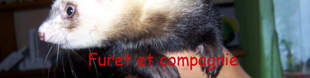 Furet et Compagnie