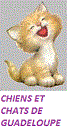 CHIENS ET CHATS DE GUADELOUPE