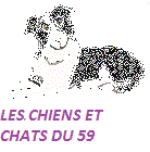 CHIENS ET CHATS DU 59