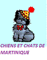 CHIENS ET CHATS DE MARTINIQUE