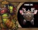 Hymne Orc - [Joffr&eacute;]
