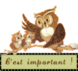 Collecte 2010-2011