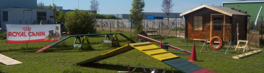 ESPACE CANIN EDUCATION CANINE DIJON  EDUCATEUR COMPORTEMENTALISTE AGILITY TOILETTAGE CANIN EDUCATEUR CANIN SPORT CANIN SPORT CANIN RCI 