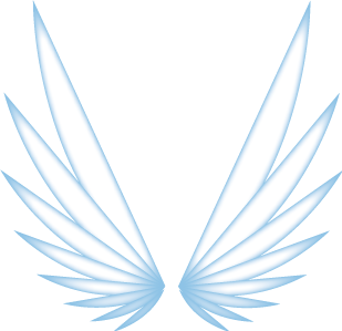 Les objets magiques 75708111ailes-png