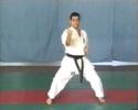 tekki shodan valdesi