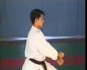 heian yodan valdesi