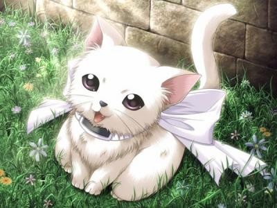 Je devrais m'abonner... J'aurais ptetre des réductions. 69485426chat-manga-jpg