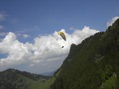 Grandvillard, je dirais même plus