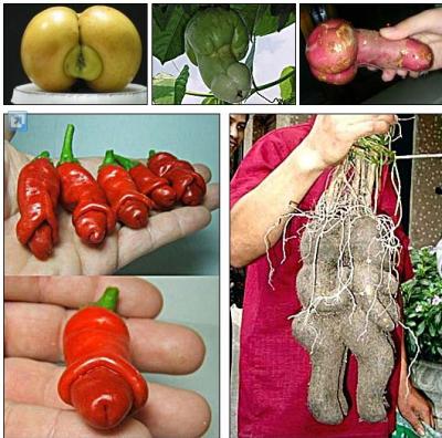Bizarre Des fruits et légumes pas comme les autres