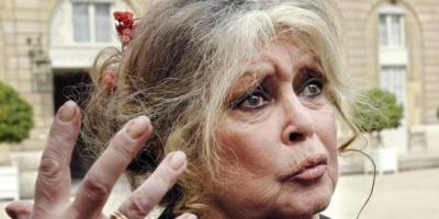 Brigitte Bardot veut sauver un chien qui a défiguré une fillette