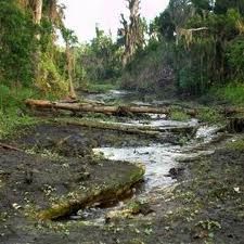 Une rivière en Slovénie et au Costa Rica ont disparu après un tremblement de terre