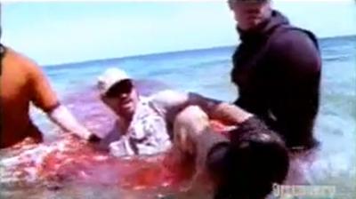 Enorme attaque de Requin sur un homme 