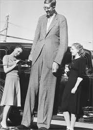 Que pensez vous du plus grand du monde (  Robert Wadlow )