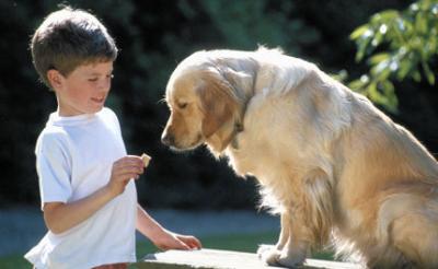 Insolite Un enfant sauvé par son chien