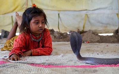 meru nath madari 4 ans charmeurs de serpents