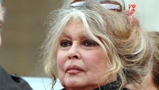 Brigitte Bardot veut sauver le bull-terrier qui a défiguré une fillette