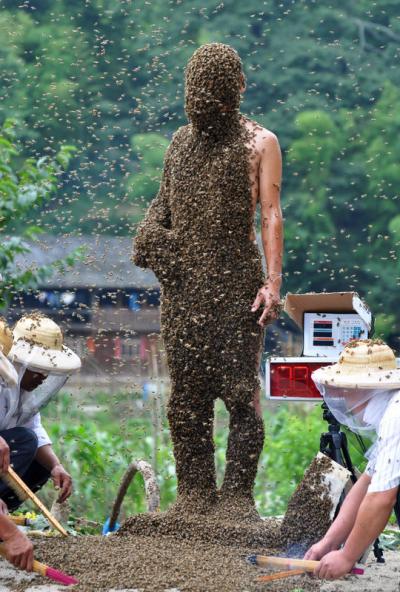 Wang Dalin avec 26 kilos d'abeilles sur le dos