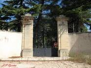 Affaire de la profanation du cimetière juif de Carpentras