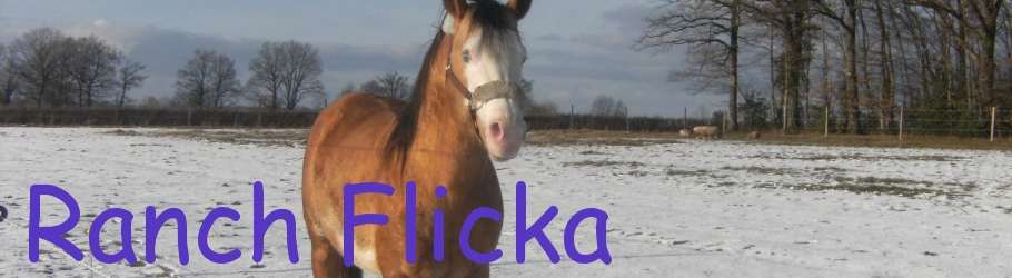 Ranch Flicka