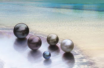 culture-des-perles