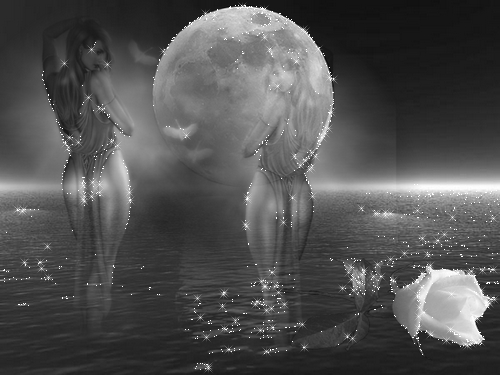 rencontre salles curan