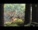      YouTube         - Scènes de la faune -  Browning