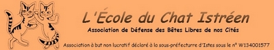 • L'école du chat Istréen