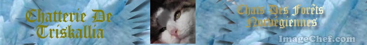 Chatterie De Triskallia