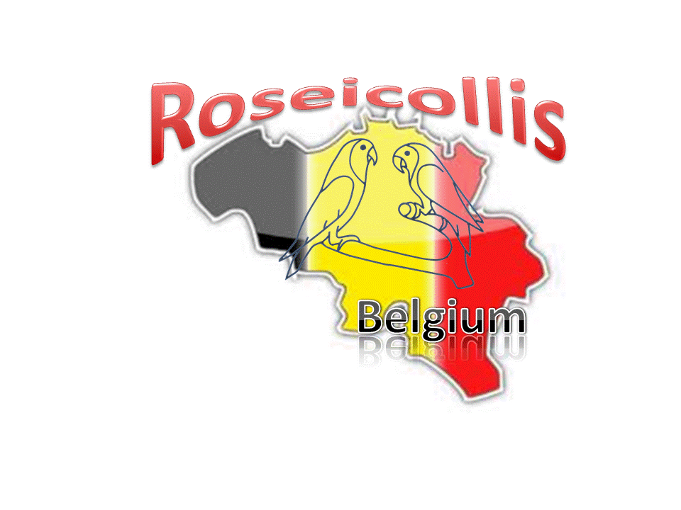 Site Roseicollis de Séb